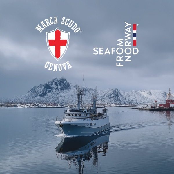 copertina-articolo-norvegia-media-press