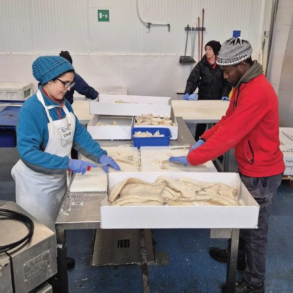 sostenibile-lavoro-unifrigo